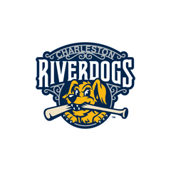Collection image for: Charleston RiverDogs