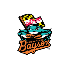Collection image for: Chesapeake Baysox