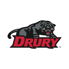 Collection image for: Drury University Panthers