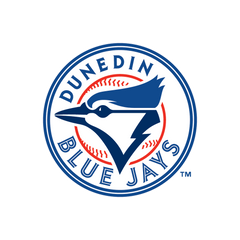 Collection image for: Dunedin Bluejays