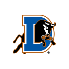 Collection image for: Durham Bulls