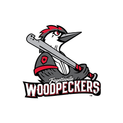 Collection image for: Fayetteville Woodpeckers