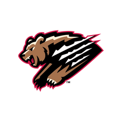 Collection image for: Fresno Grizzlies