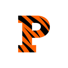 Collection image for: Princeton Tigers