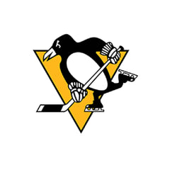 Collection image for: Pittsburgh Penguins