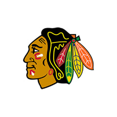 Collection image for: Chicago Blackhawks
