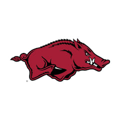 Collection image for: Arkansas Razorbacks