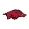 Arkansas Razorbacks
