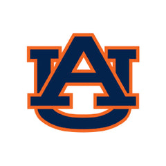 Collection image for: Auburn Tigers Hockey