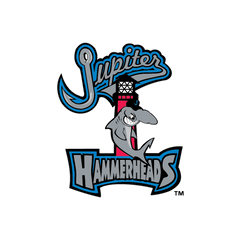Collection image for: Jupiter Hammerheads
