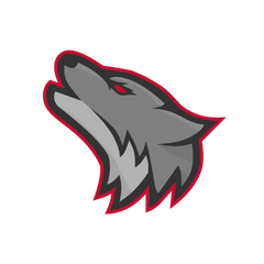 Collection image for: NC State Icepack