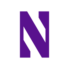 Collection image for: Northwestern Wildcats