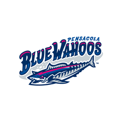 Collection image for: Pensacola Blue Wahoos