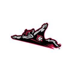 Collection image for: Richmond Flying Squirrels
