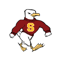 Collection image for: Salisbury Seagulls