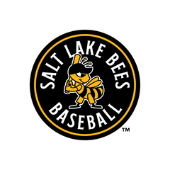 Collection image for: Salt Lake Bees