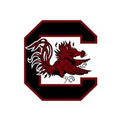 Collection image for: South Carolina Gamecocks