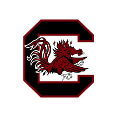 Collection image for: South Carolina Gamecocks Hockey