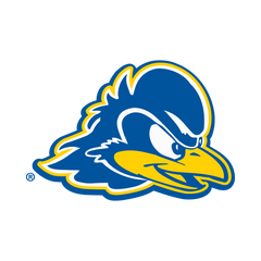 Collection image for: Delaware Fightin' Blue Hens