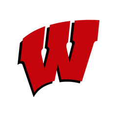Collection image for: Wisconsin Badgers