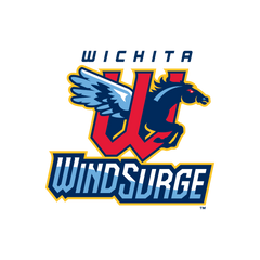Collection image for: Wichita Wind Surge