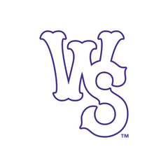 Collection image for: Winston Salem Dash