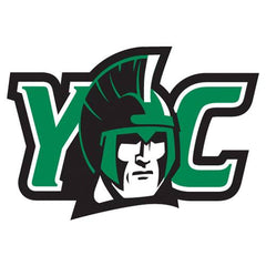Collection image for: York College Spartans