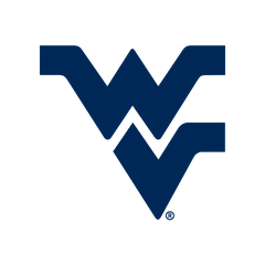 Collection image for: West Virginia Mountaineers