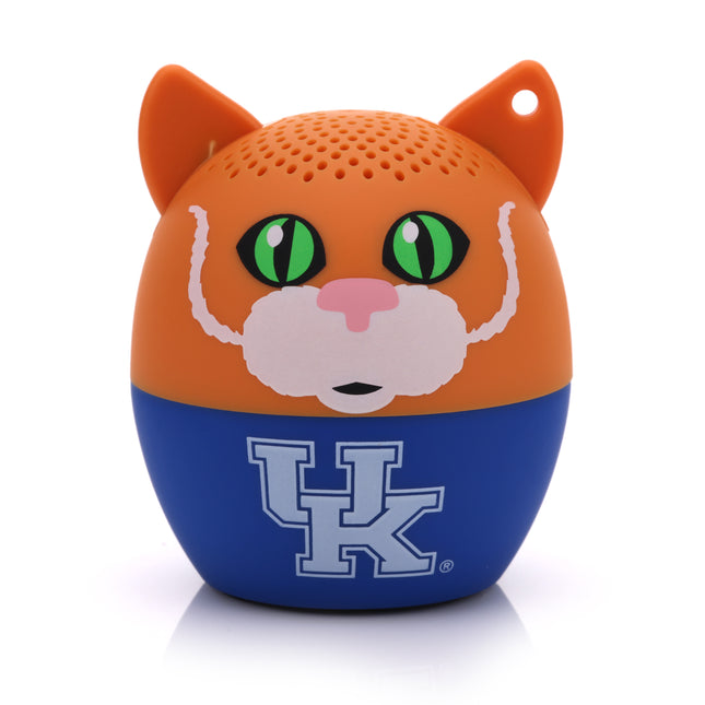 Kentucky Wildcats - Bitty Boomers image 0