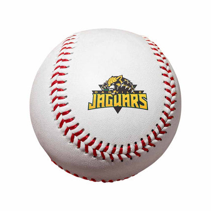 Danville Area Community College Jaguars Baseball - Authentic Series