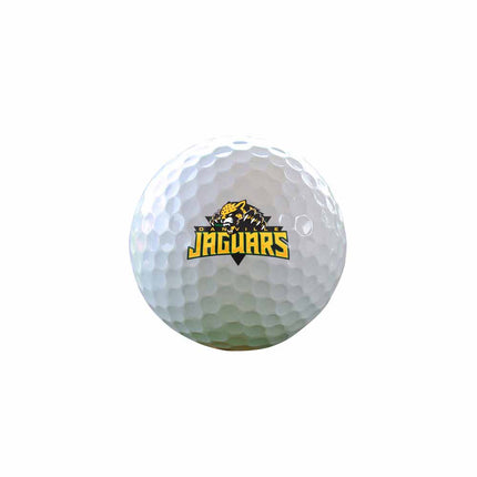 Danville Area Community College Jaguars Golf One Dozen Golf Balls - Authentic Series
