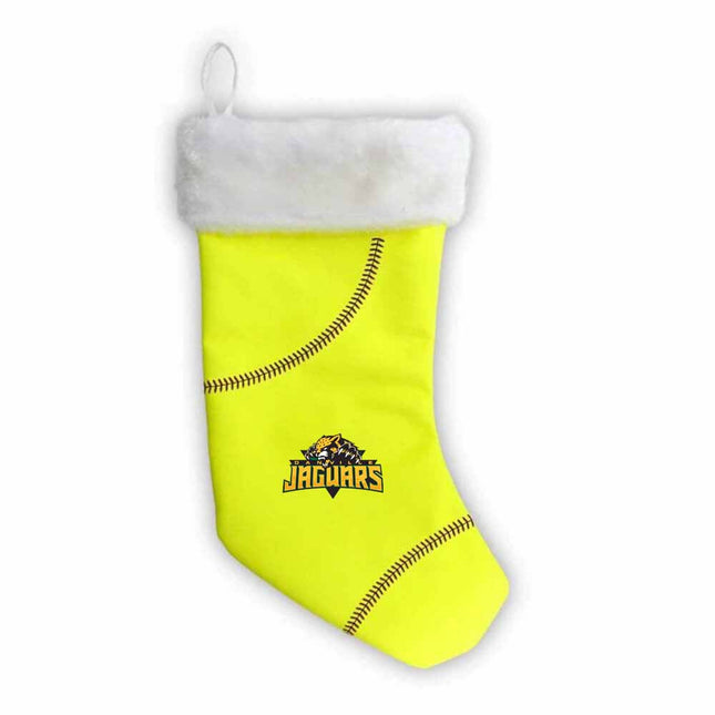Danville Area Community College Jaguars Softball Christmas Stocking - Authentic Series