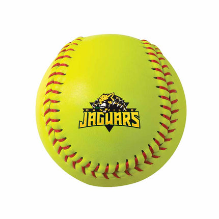 Danville Area Community College Jaguars Softball - Authentic Series