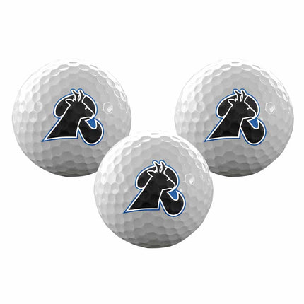 Lamar Community College Runnin' Lopes Golf Sleeve of 3 Golf Balls - Authentic Series