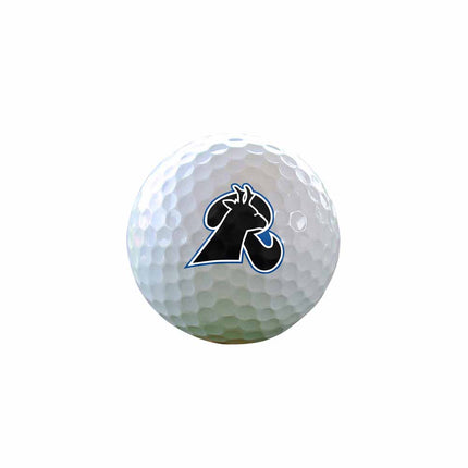 Lamar Community College Runnin' Lopes Golf Sleeve of 3 Golf Balls - Authentic Series