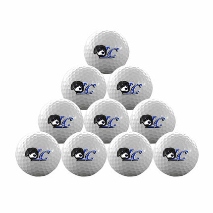 Lewis & Clark Community College Trailblazers Golf One Dozen Golf Balls - Authentic Series