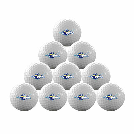 Luna Community College Rough Riders Golf One Dozen Golf Balls - Authentic Series