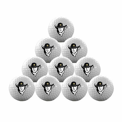 Northeastern Junior College Plainsmen Golf One Dozen Golf Balls - Authentic Series