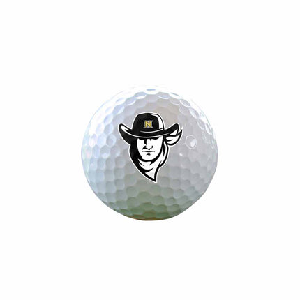 Northeastern Junior College Plainsmen Golf One Dozen Golf Balls - Authentic Series
