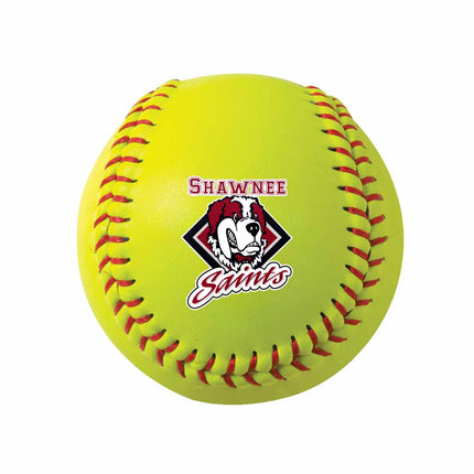 Shawnee Community College Saints Softball - Authentic Series