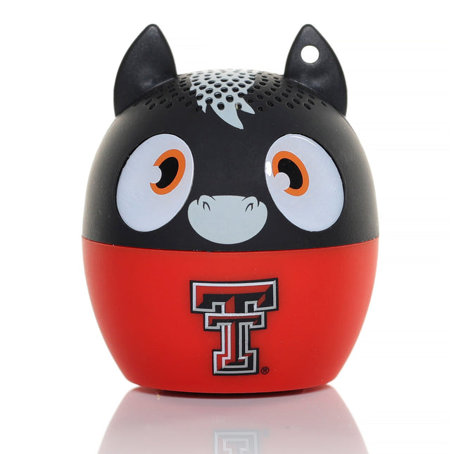Texas Tech Red Raiders