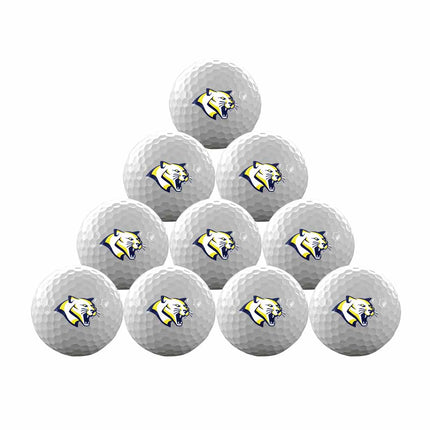 Western Nebraska Community College Cougars Golf One Dozen Golf Balls - Authentic Series