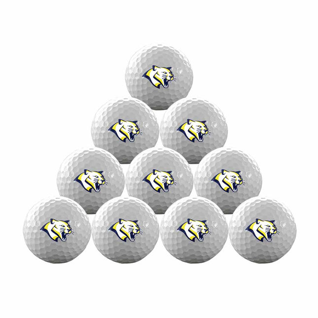 Western Nebraska Community College Cougars Golf One Dozen Golf Balls - Authentic Series