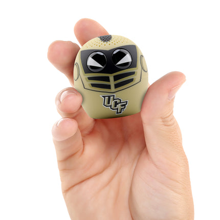 Central Florida Knights - Bitty Boomers image 1